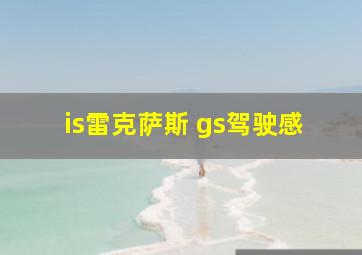 is雷克萨斯 gs驾驶感